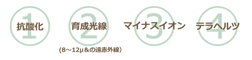 テラミン 〜teramin〜