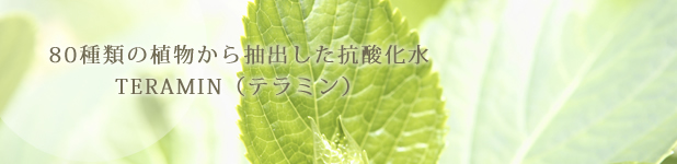 テラミン 〜teramin〜