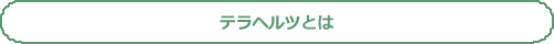 テラミン 〜teramin〜